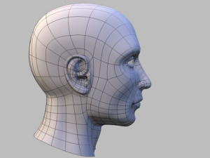male headuvteethgums 3D-Modell