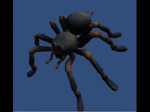spider Model 3D