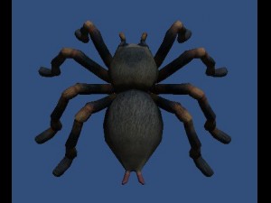 spider 3D Model