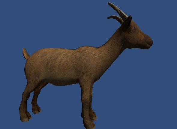 goat 1 3D Model .c4d .max .obj .3ds .fbx .stl .blend 