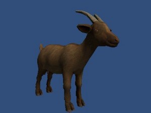 goat2 3D Model