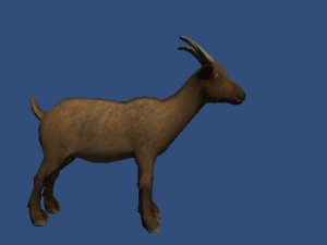 goat2 3D Model