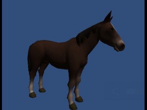 horse with brown hairs Model 3D