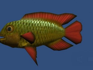 perch Modèle 3D