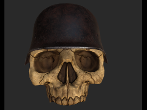 skull 3D 模型