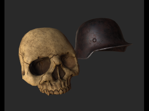 skull 3D 模型