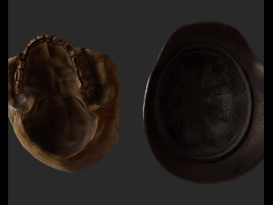 skull 3D 模型