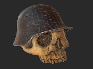 skull 3D 模型