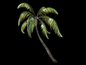 palm tree Model 3D