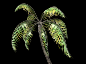 palm tree Modelo 3D