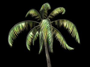 palm tree Modelo 3D