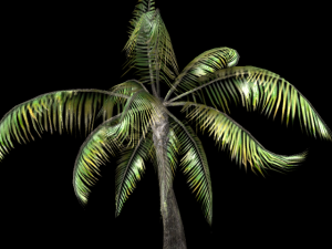 palm tree Modelo 3D