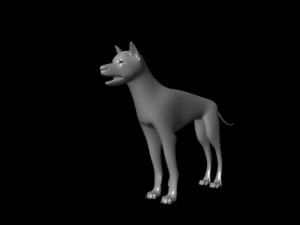 wolf Modèle 3D