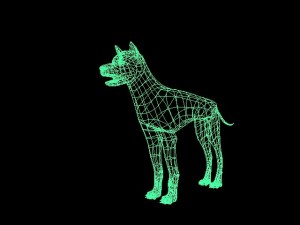 wolf 3D Model