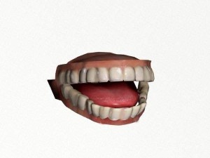 kenzy 3D Model