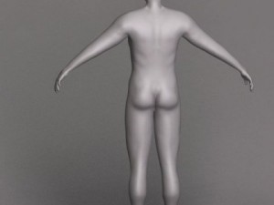 Jan 3D Model