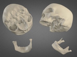 human skull high poly Modelo 3D