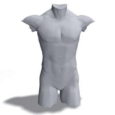 male torso 3D Model .c4d .max .obj .3ds .fbx .stl .blend 