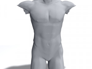 male torso 3D 模型