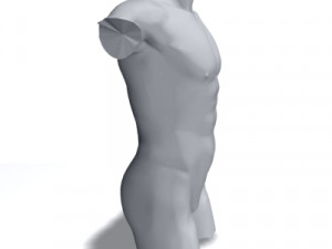 male torso 3D Модель