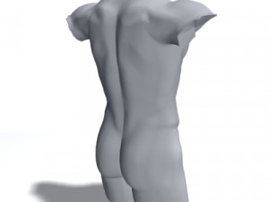 male torso 3D Модель