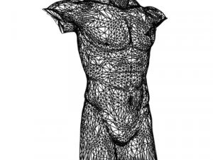 male torso 3D Model