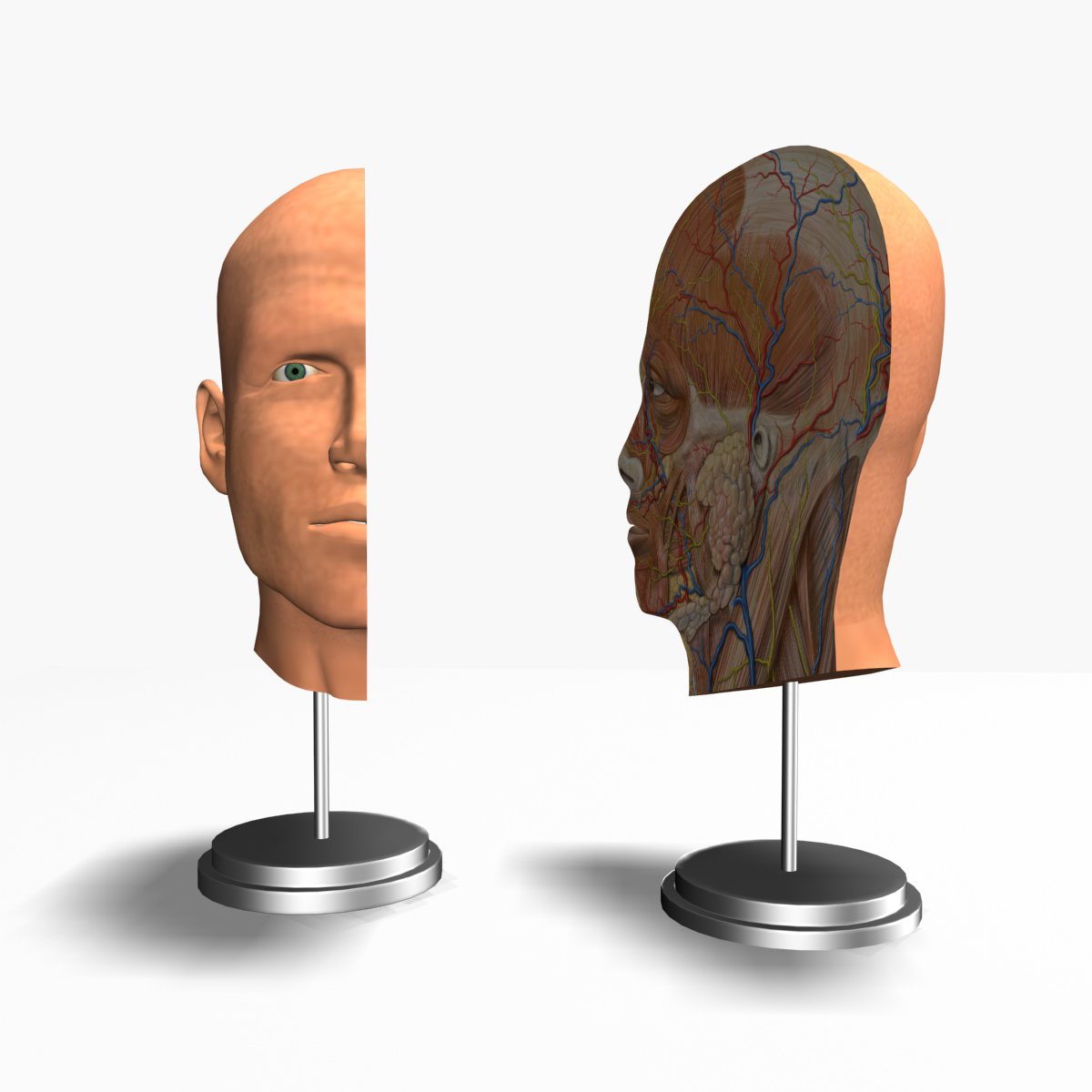 Cross head. Cross head