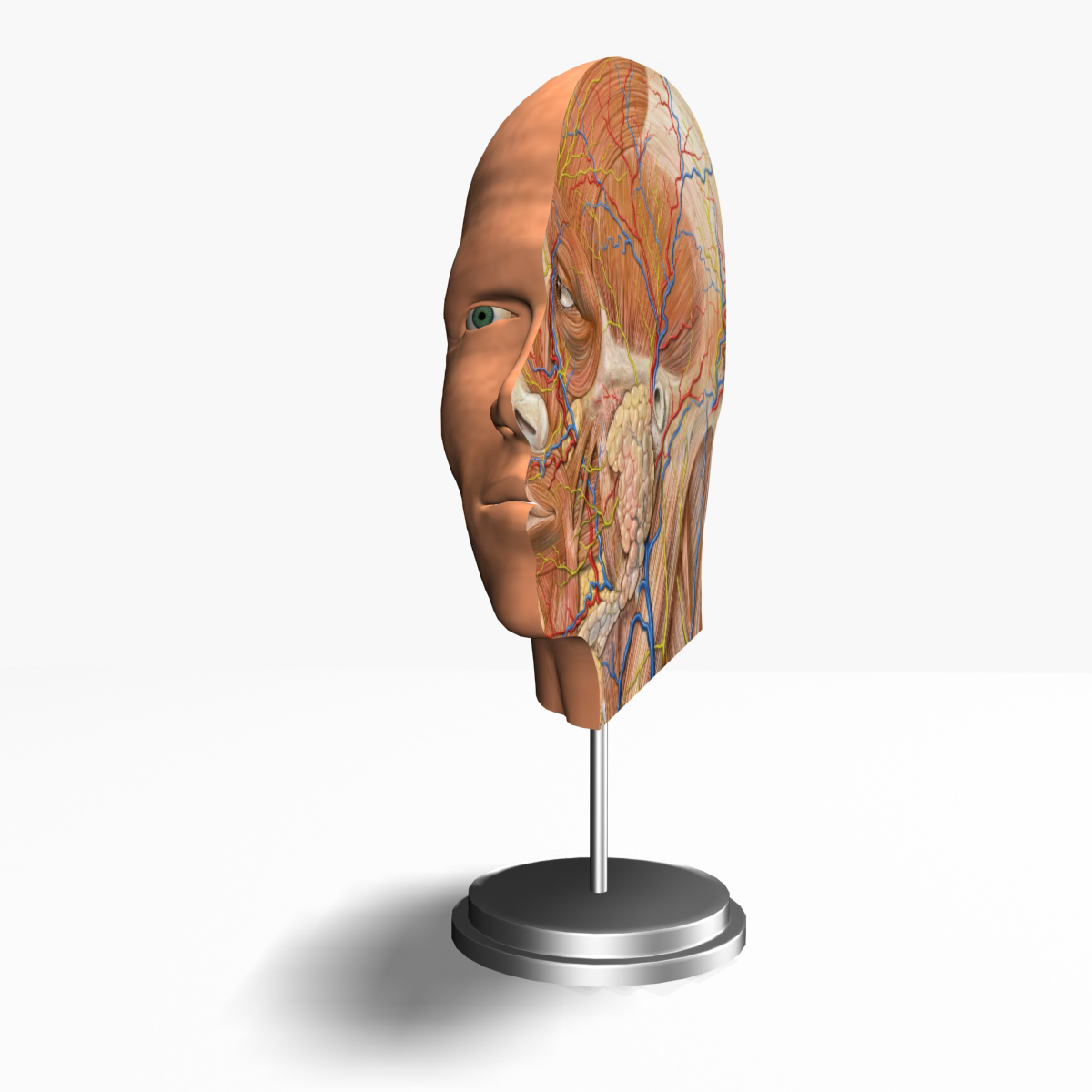 Cross head. Cross head