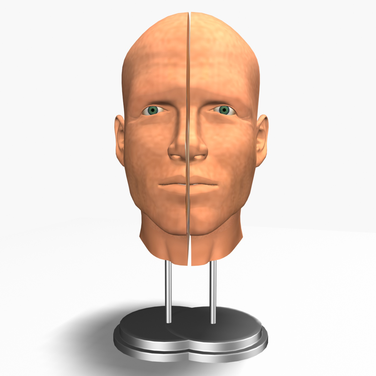 Cross head. Male head 3d model.