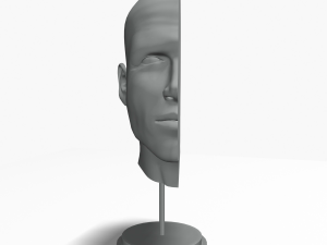 male head cross section anatomy Modelo 3D