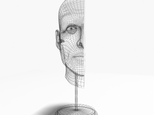 male head cross section anatomy Modelo 3D