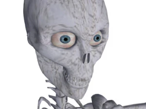 human skeleton 3D Model
