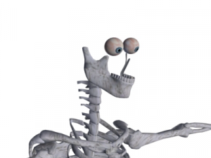 human skeleton 3D Model