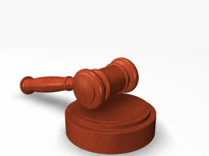 gave 1 3D Model