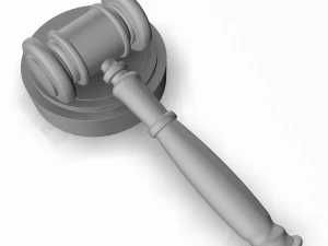 gave 1 3D Model