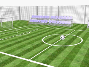 exercise soccer field 3D Model