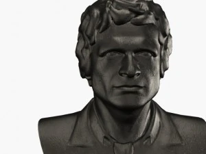 bust1 3D Model