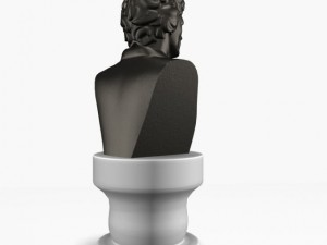 bust1 3D Model