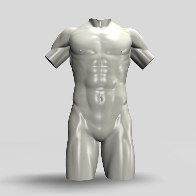 male torso sculpture 12011 3D Model .c4d .max .obj .3ds .fbx .stl .blend 