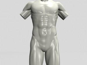 male torso sculpture 12011 3D-Modell