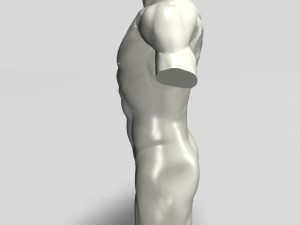 male torso sculpture 12011 3D Model
