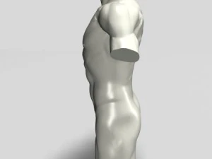 male torso sculpture 12011 3D Model