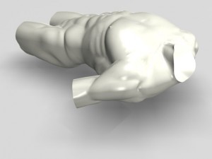 male torso sculpture 12011 3D Model