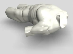 male torso sculpture 12011 3D Model
