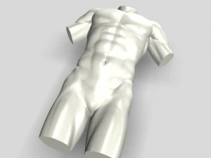 male torso sculpture 12011 3D Model