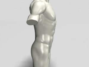 male torso sculpture 12011 3D Model