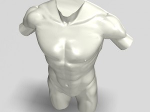male torso sculpture 12011 3D Model
