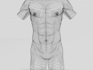 male torso sculpture 12011 3D Model
