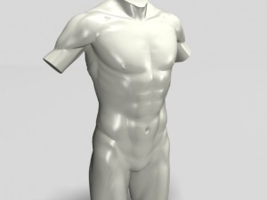 male torso sculpture 12011 3D Model