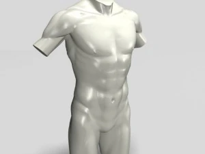male torso sculpture 12011 3D Model
